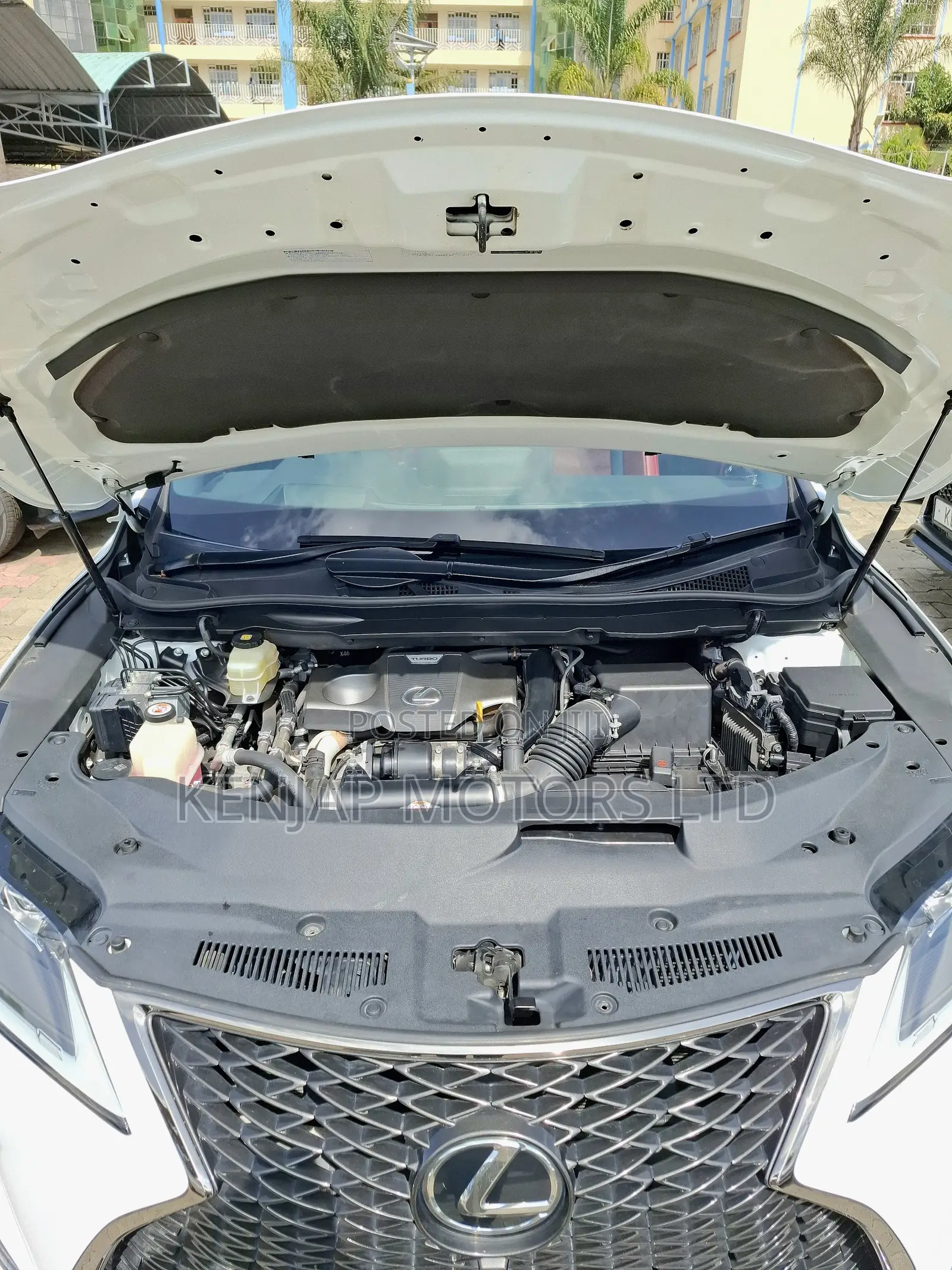 Lexus RX 300 4WD 2019 White