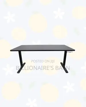 Dual Motor Electric Standing Desk Executive Ergonomic Workstation