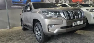 Toyota Land Cruiser Prado 2019 Gray