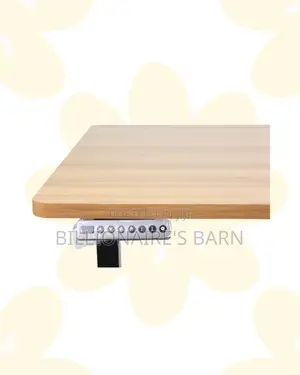 Heavy Duty Electric Standing Desk Heavy Duty Dual Monitor