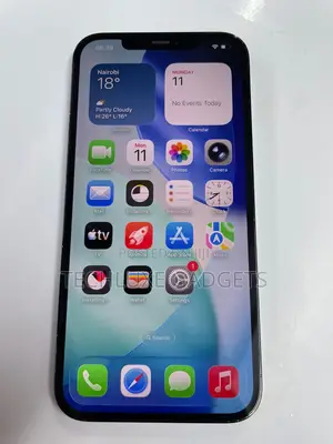 Apple iPhone 12 Pro Max 256 GB Blue