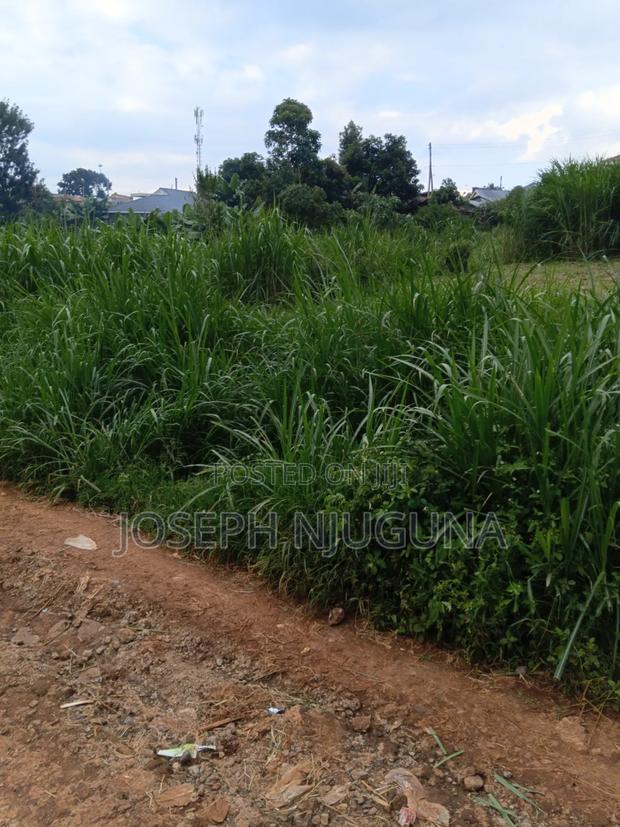 900 Acres Gatatha Farmers - thumbnail 2
