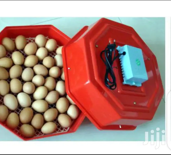 Quality 60egg Incubator
