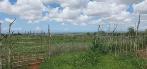 Malindi 100 by 100 Plots at