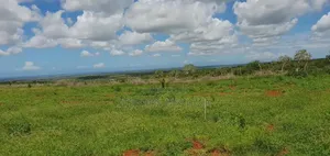 Malindi 100 by 100 Plots at