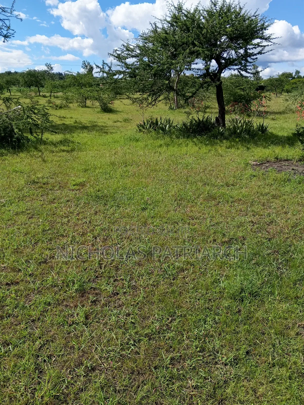 49 Acres Lukenya 200m From Mombasa Road Selling at 28m Per Acre