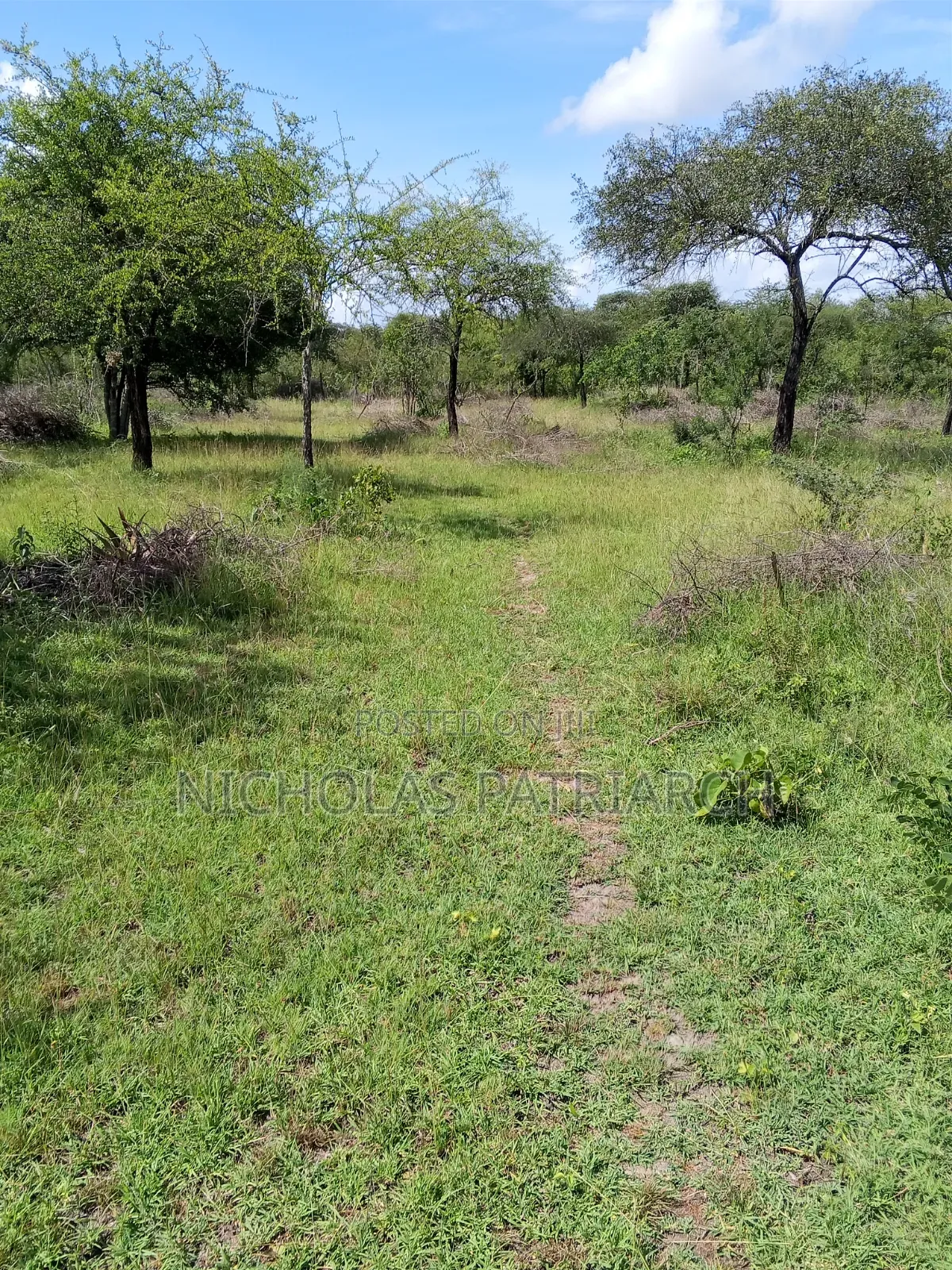 49 Acres Lukenya 200m From Mombasa Road Selling at 28m Per Acre