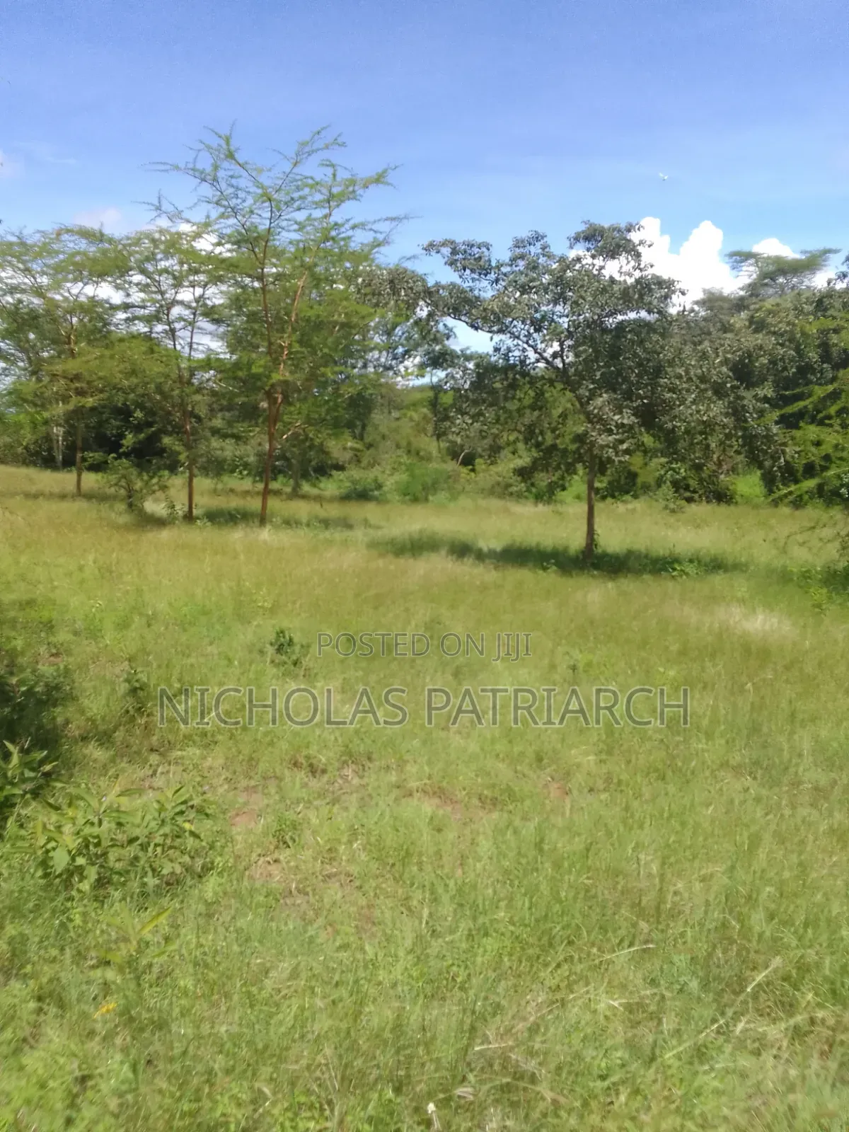 49 Acres Lukenya 200m From Mombasa Road Selling at 28m Per Acre