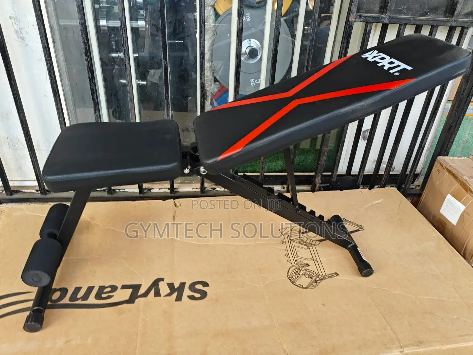 Dumbbell Bench