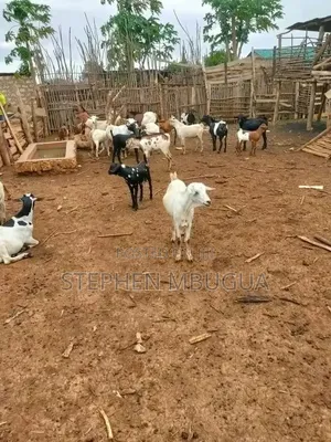 30 Farming Acres in Malindi-Ksh4.5million(Per Block)7blocks Available