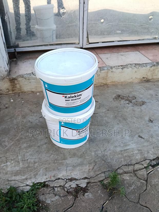 Rapid Setting Waterplug/Kalekim 3001