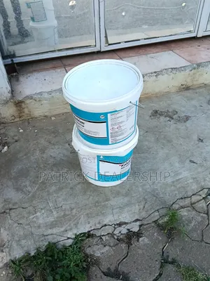 Rapid Setting Waterplug/Kalekim 3001
