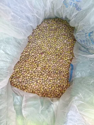 Yellow Beans