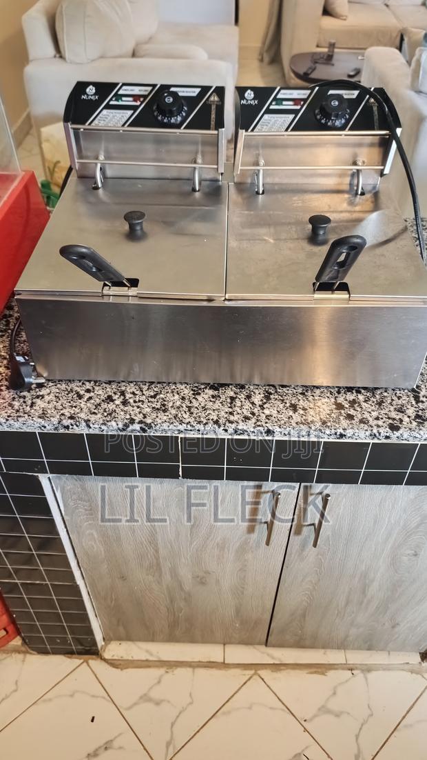 Stainless Double Electric Chips Fryyer