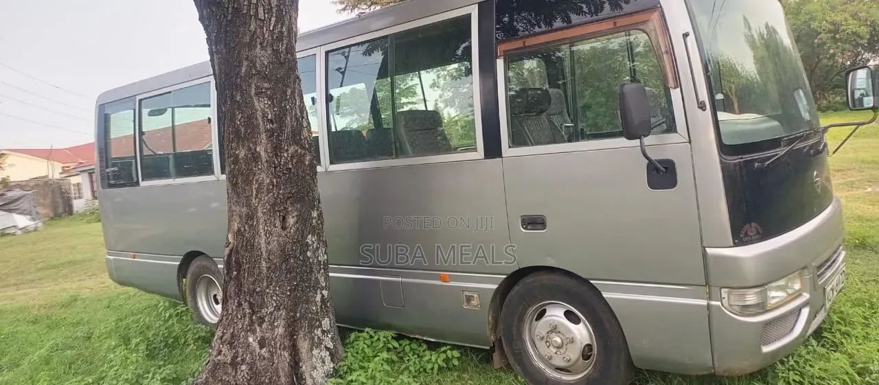 Nissan Civilian 2009 Grey