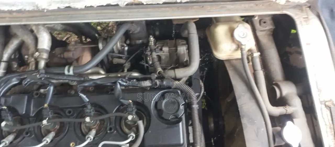 Nissan Civilian 2009 Grey