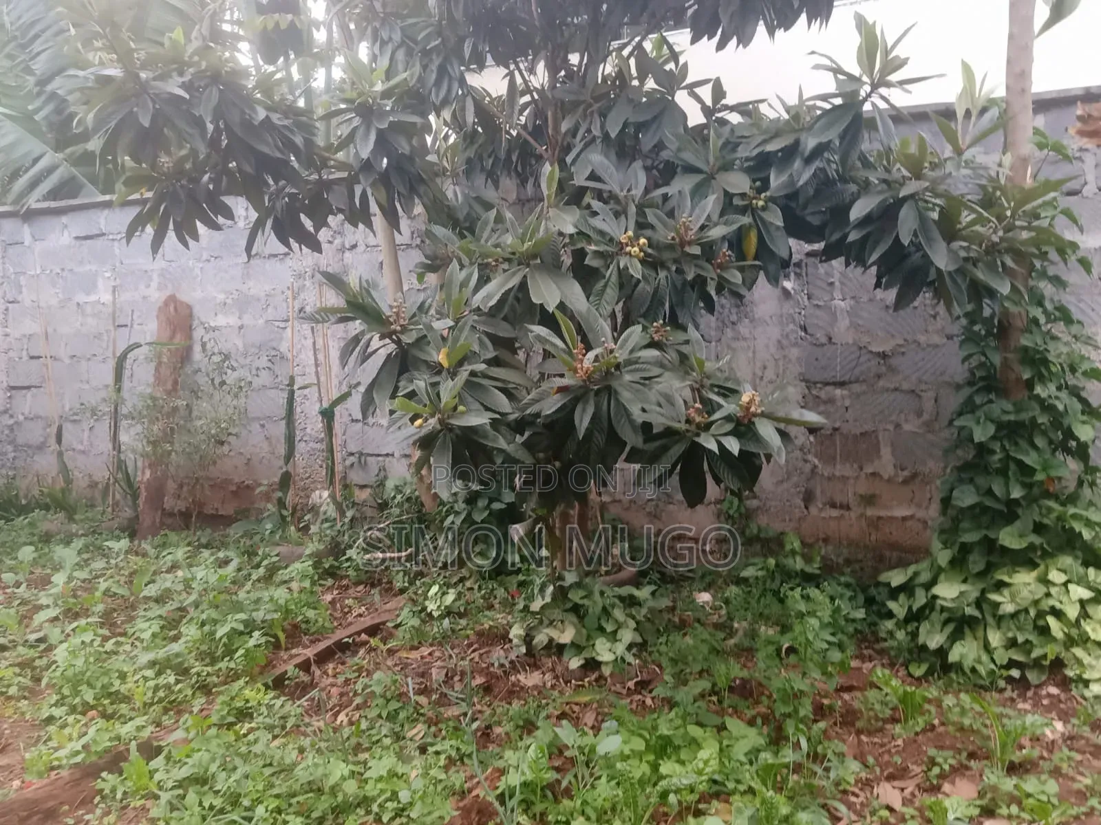 4bdrm Maisonette in Thome for sale