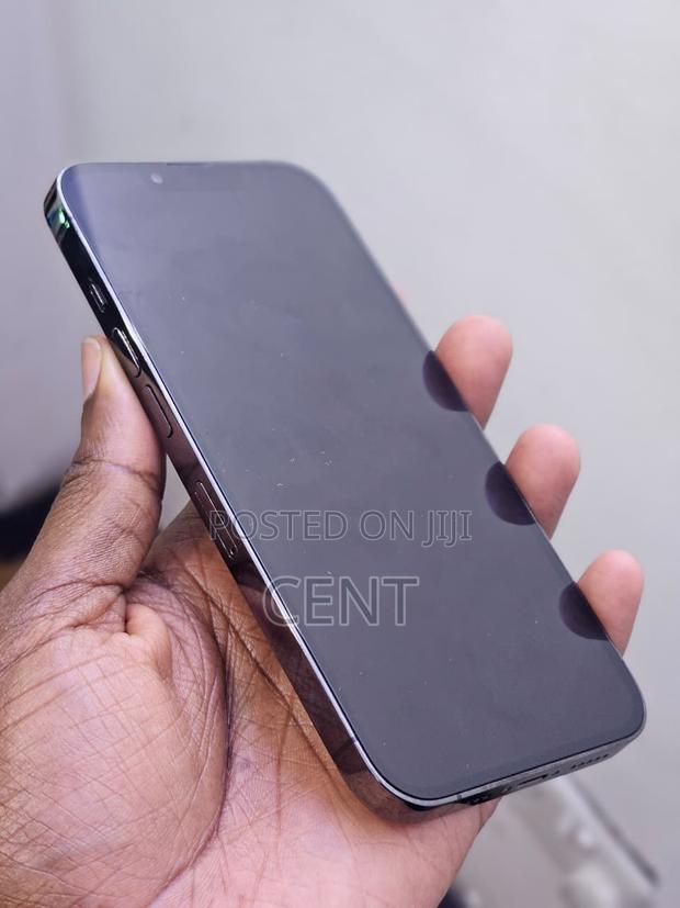 Apple iPhone 13 Pro 256 GB - thumbnail 3