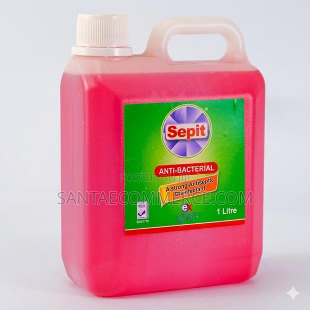 Sepit Anti-Bacterial Antiseptic Disinfectant – 1 Litre - main view