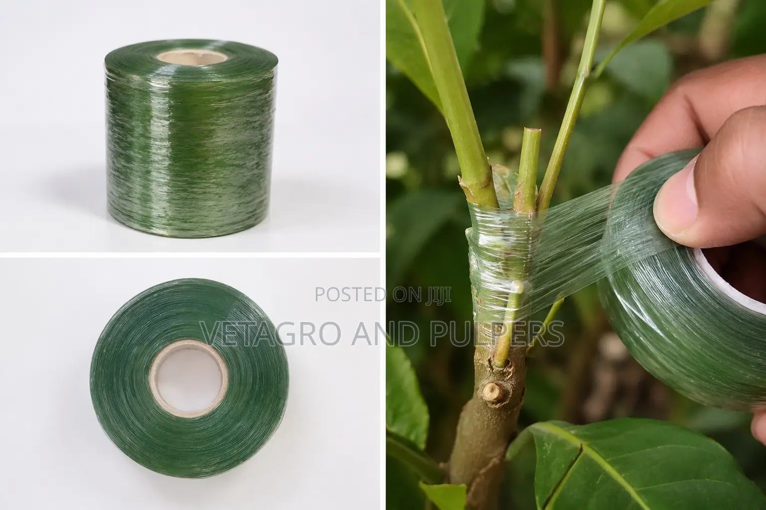 Green Grafting Tape 6cm × 300m