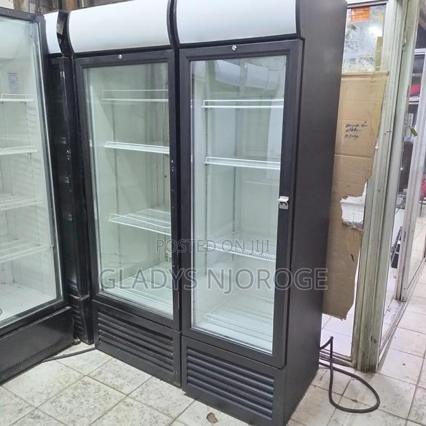 Display Show Case Chiller ( 600l)