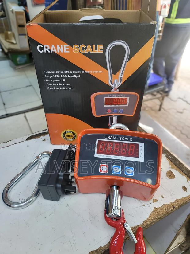Crane 500kg/Hanging Scale