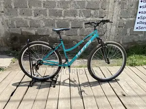 Ex Usa 29ner Mountain Bike