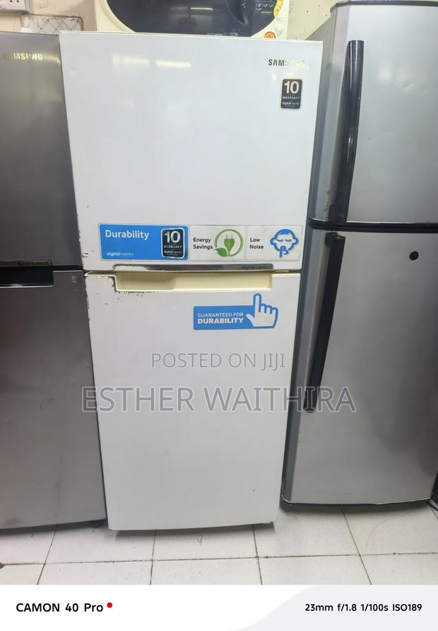 This Best Samsung Digital Inverter 250 Litres