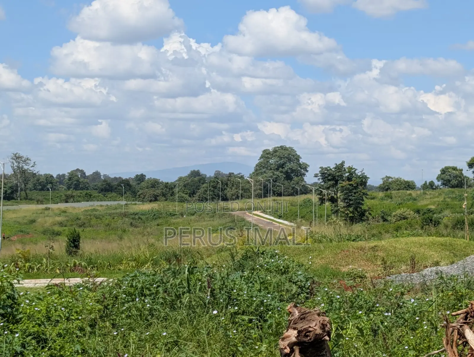 Ushirika Gardens