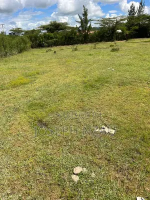 Land For Sell