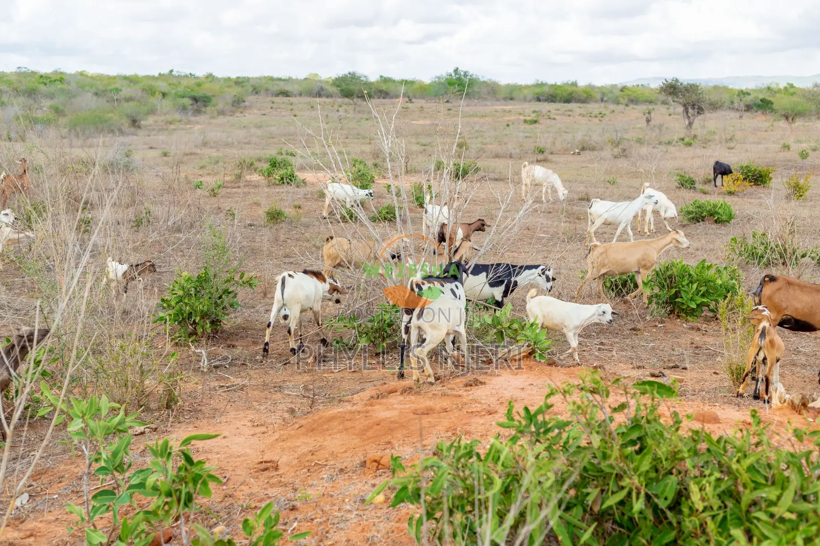 1 Acre in Malindi