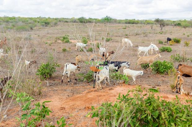 1 Acre at in Malindi - thumbnail 2