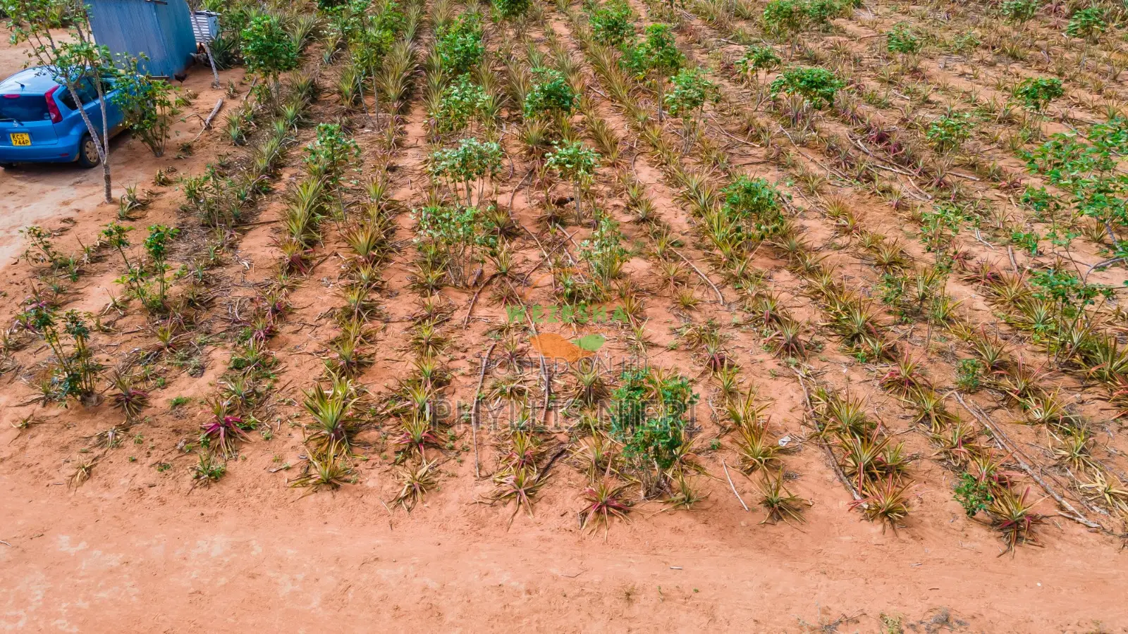 1 Acre in Malindi