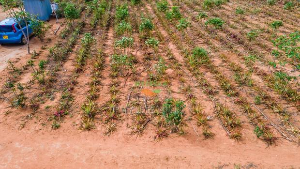 1 Acre at in Malindi - thumbnail 3