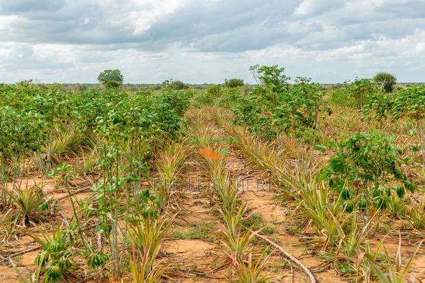 1 Acre at in Malindi