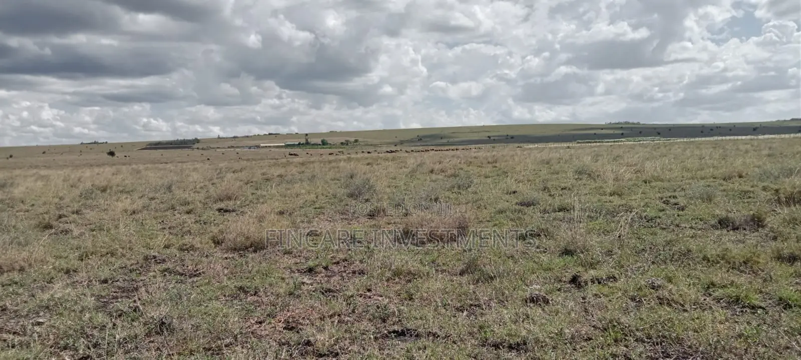 Prime 1.5 Acres for Sale in Isinya
