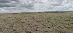 Prime 1.5 Acres for Sale in Isinya