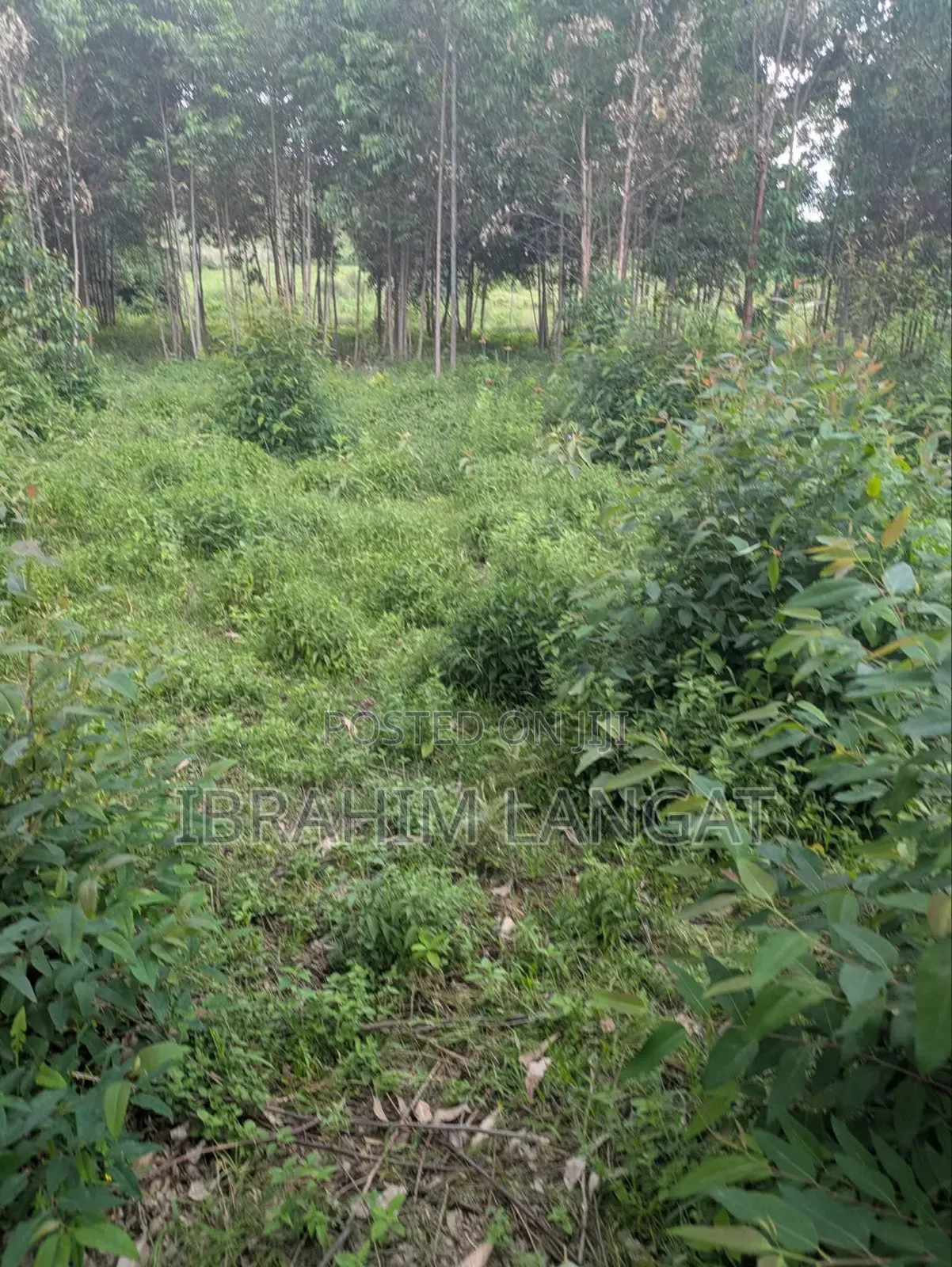 Plots For Sale