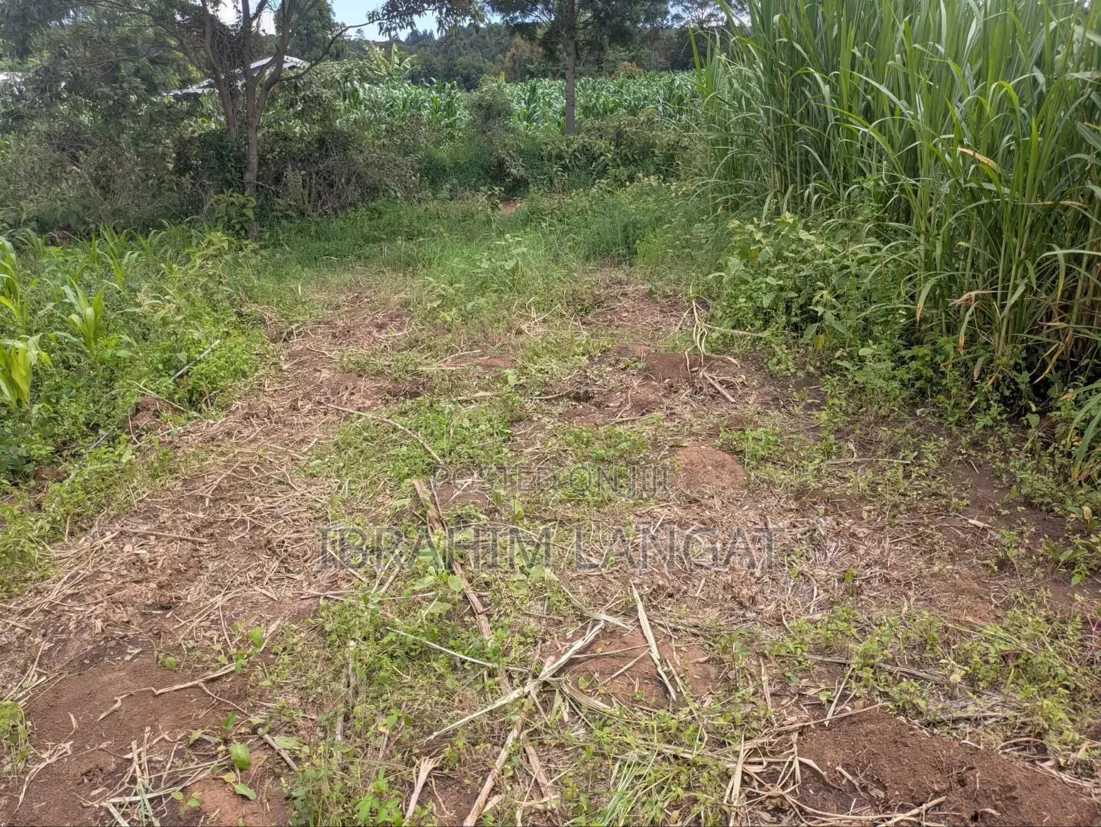 Plots For Sale