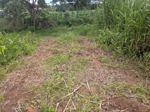 Plots For Sale