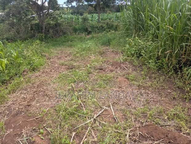 Plots For Sale - thumbnail 2
