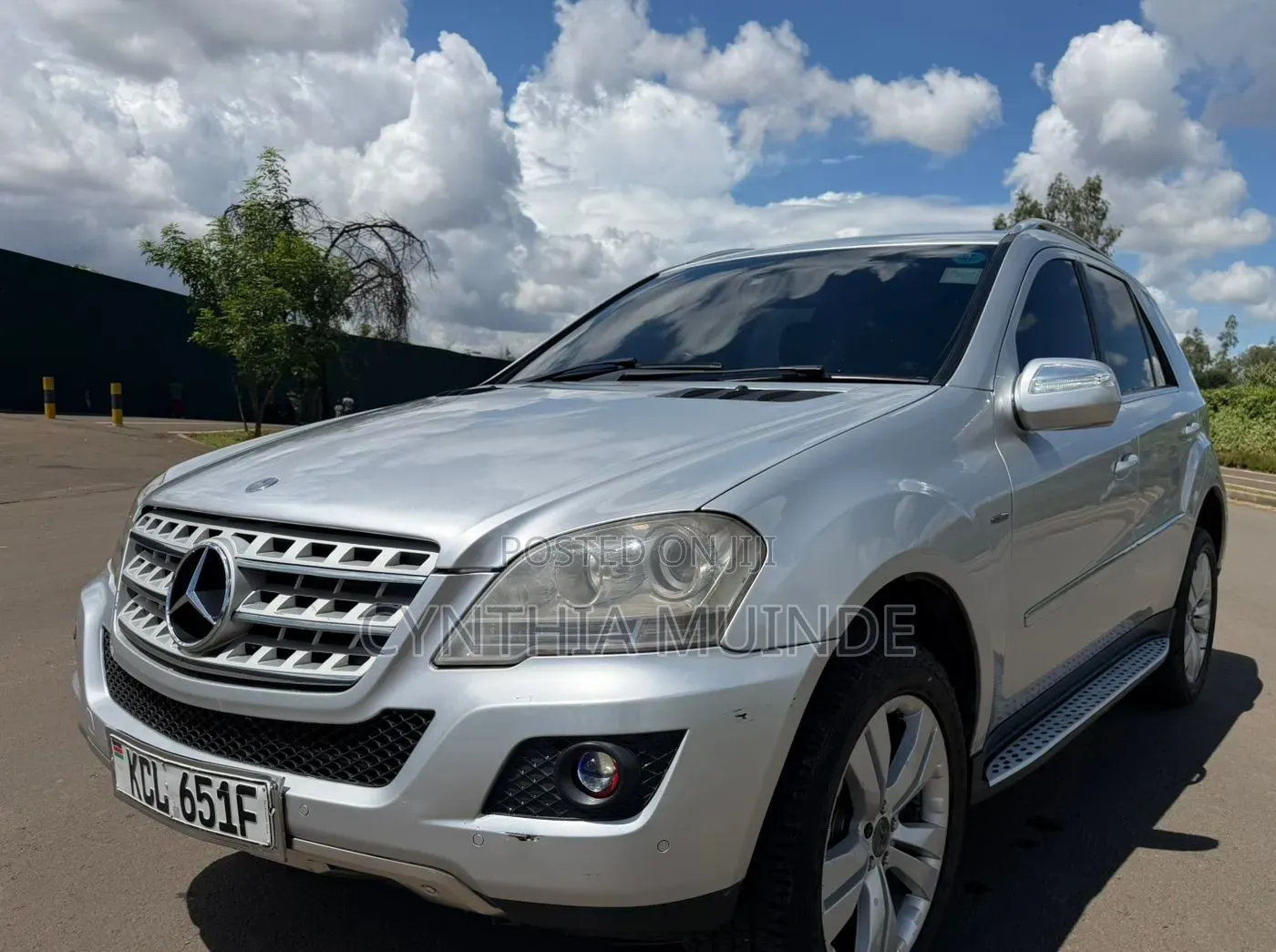 Mercedes-Benz M Class 2010 Silver
