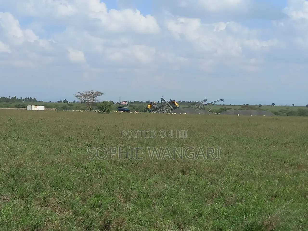 Plots for Sale