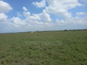 Plots for Sale
