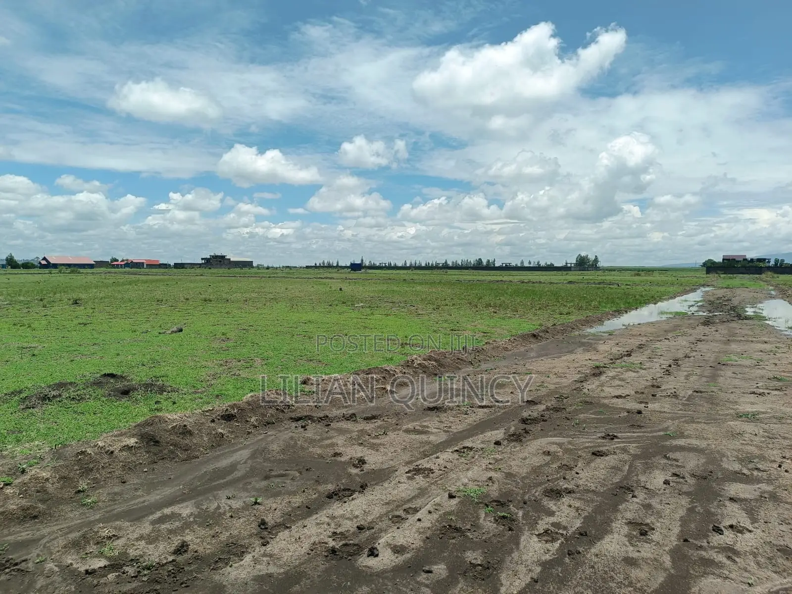 50 by 100 Plot in Juja Kalimoni Kiambu County