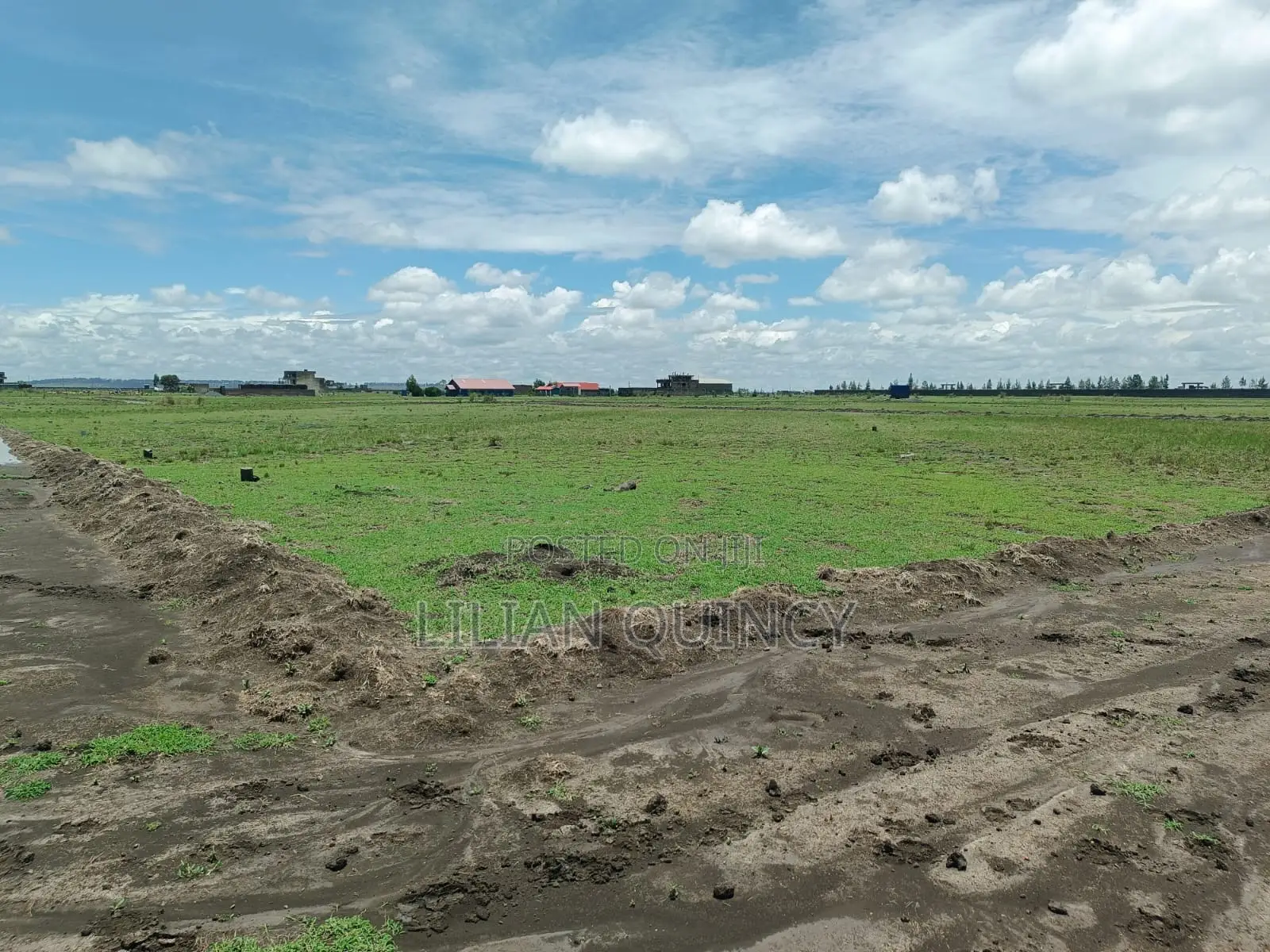 50 by 100 Plot in Juja Kalimoni Kiambu County