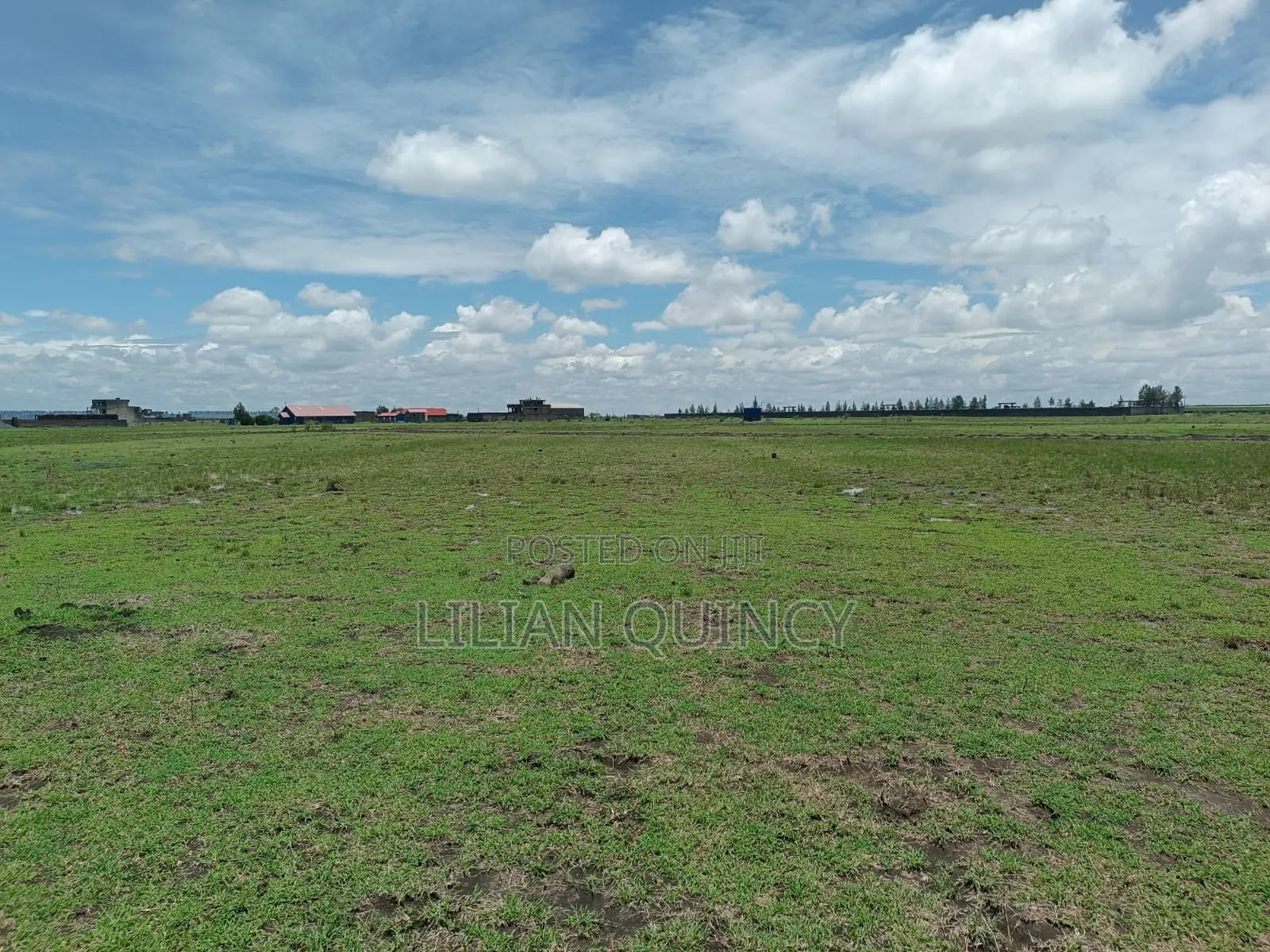 50 by 100 Plot in Juja Kalimoni Kiambu County