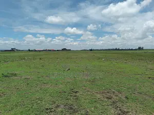 50 by 100 Plot in Juja Kalimoni Kiambu County