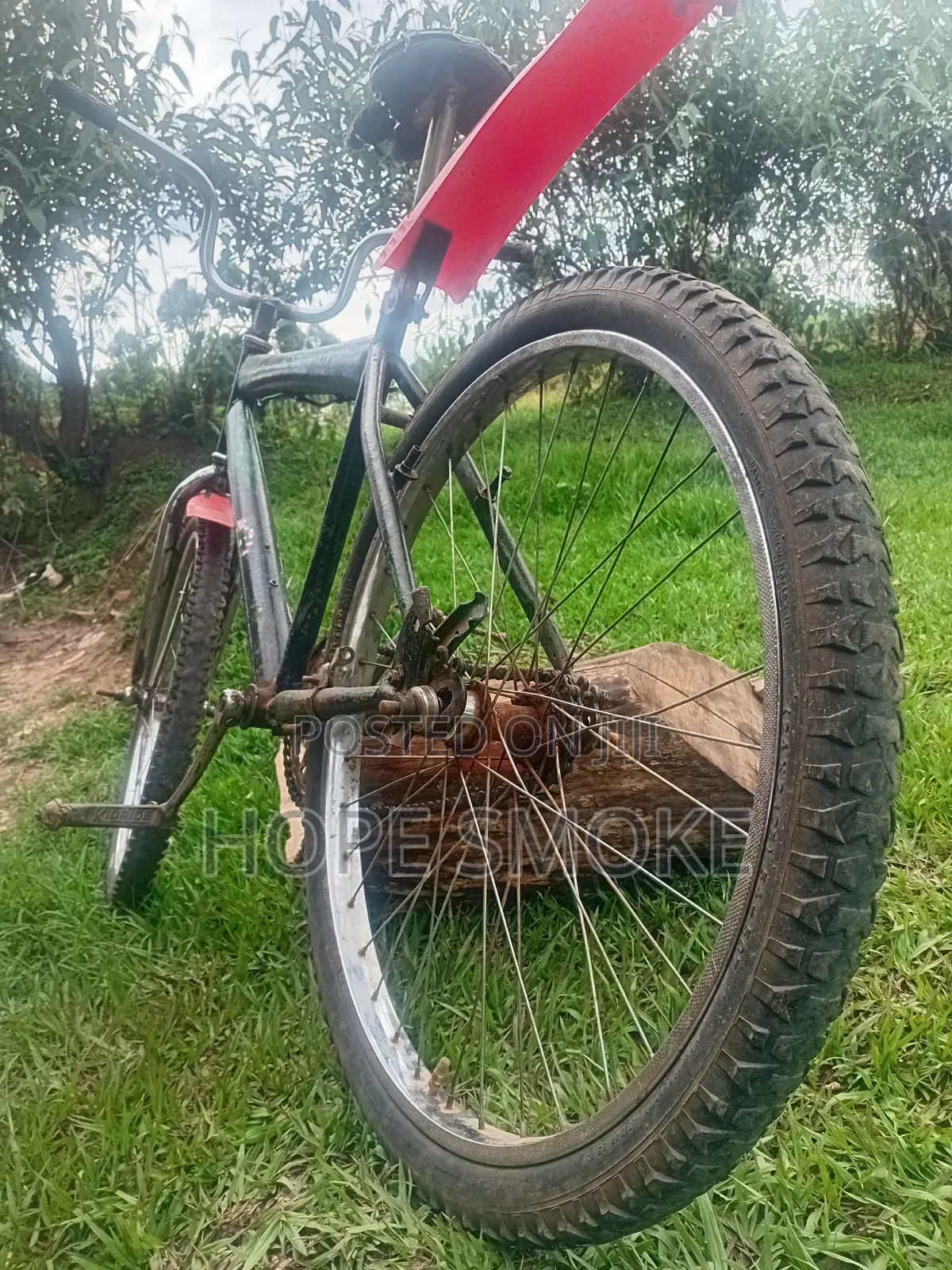 Mountain Bike