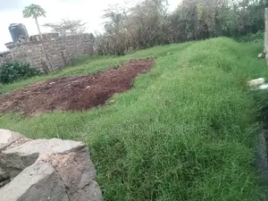 Prime Quarter Acre Land for Sale in Olekasasi Ongata Rongai